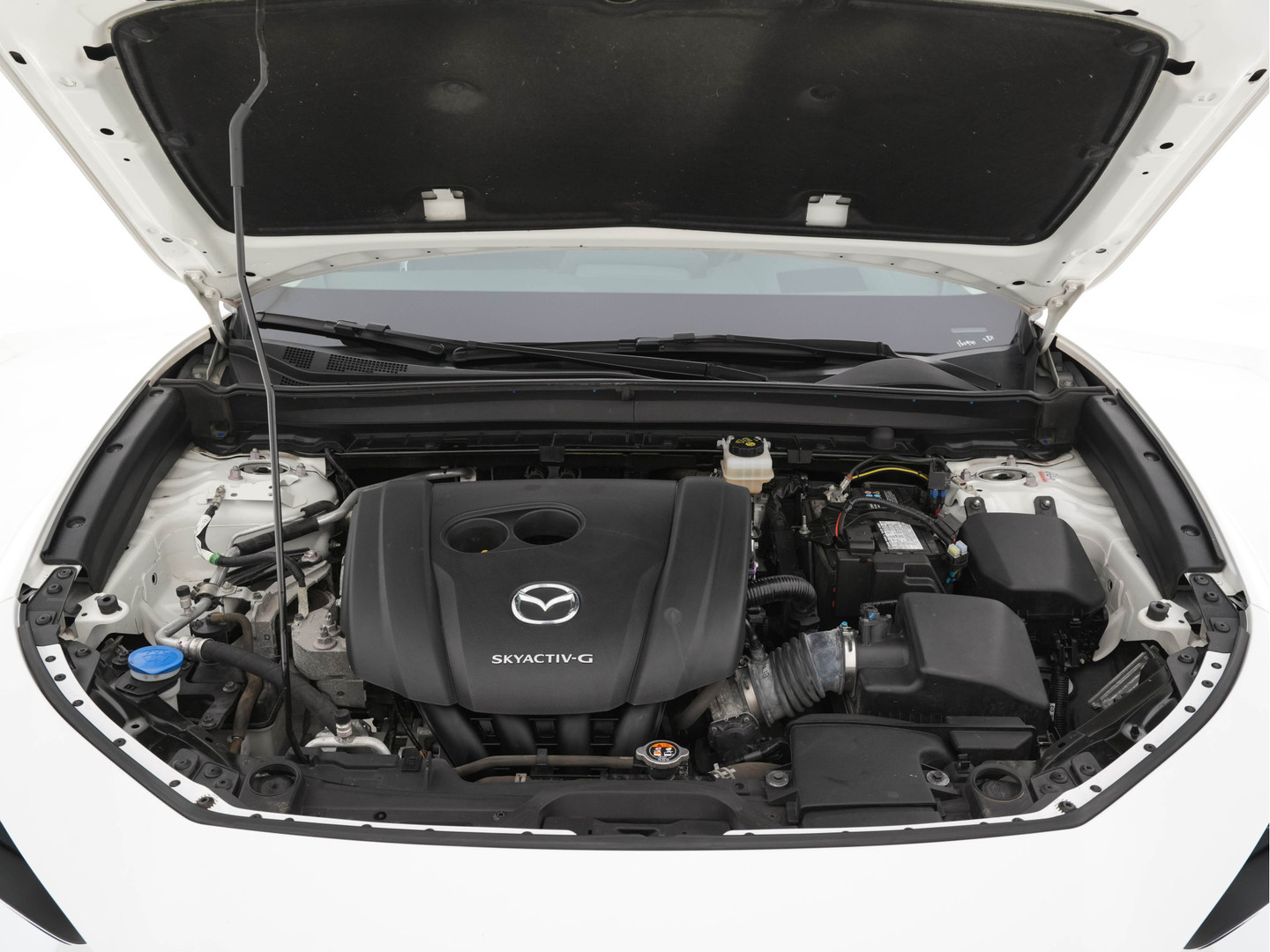 Mazda Mazda