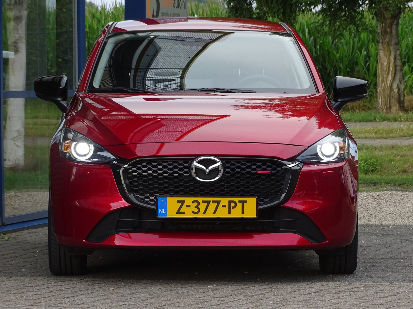 Mazda