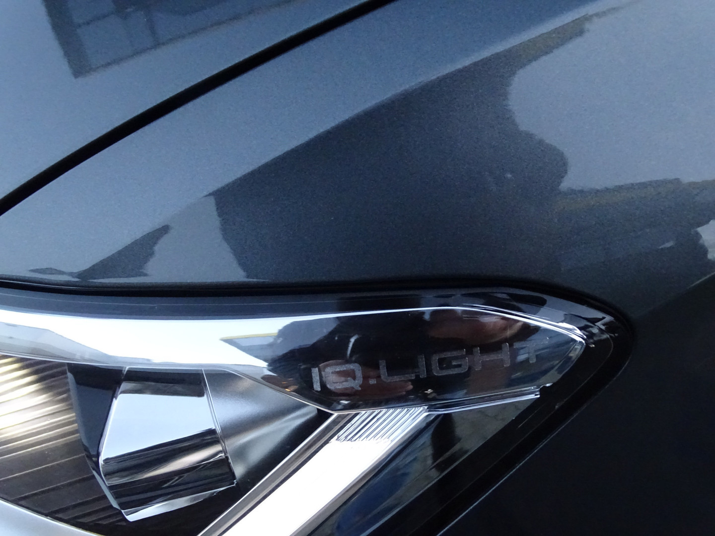 Volkswagen Volkswagen