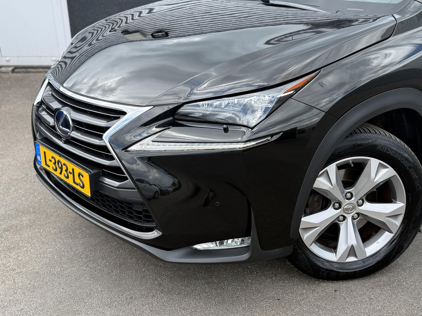 Lexus Lexus