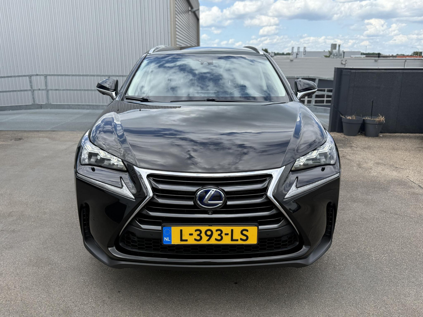 Lexus Lexus