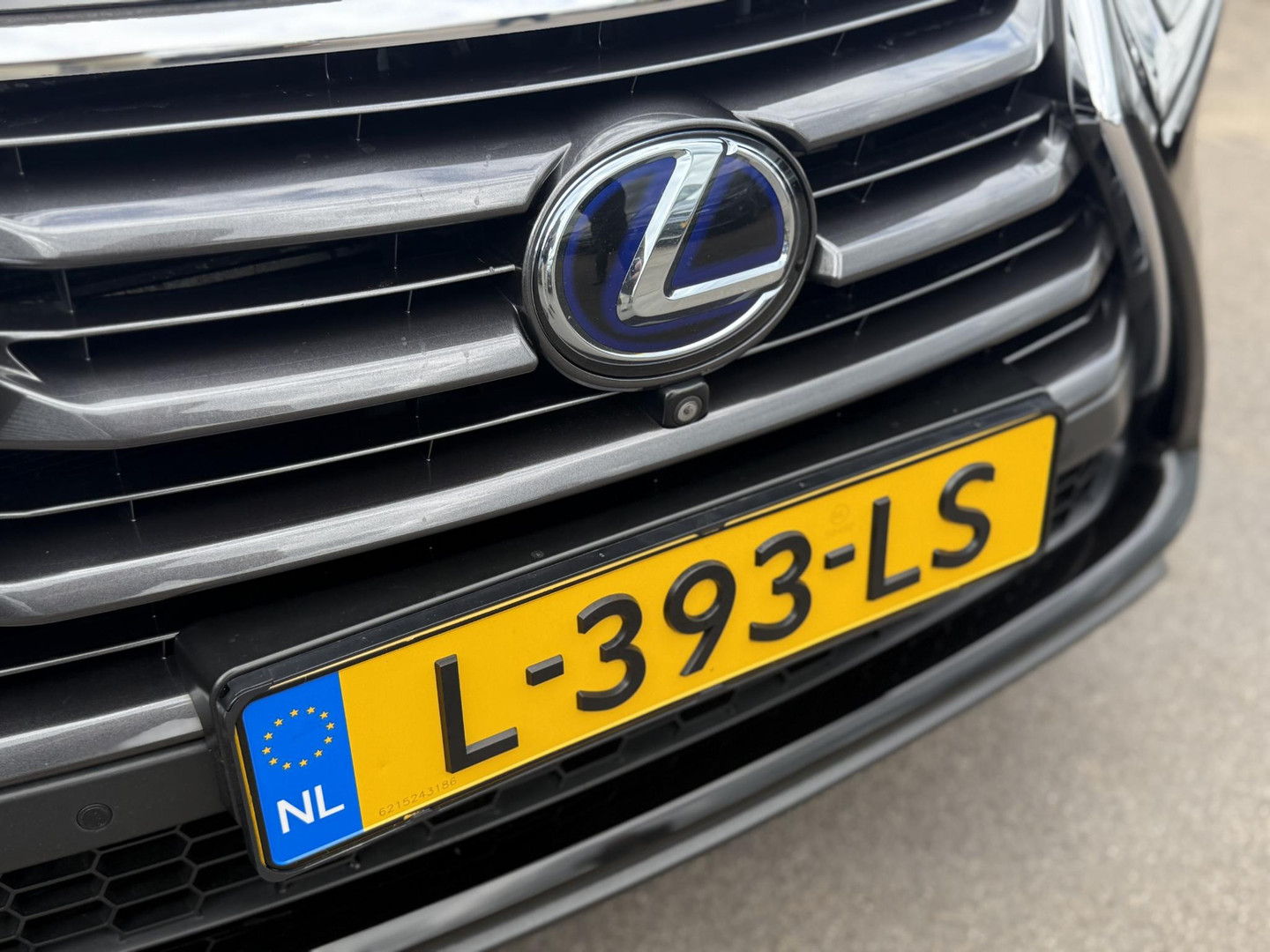 Lexus Lexus