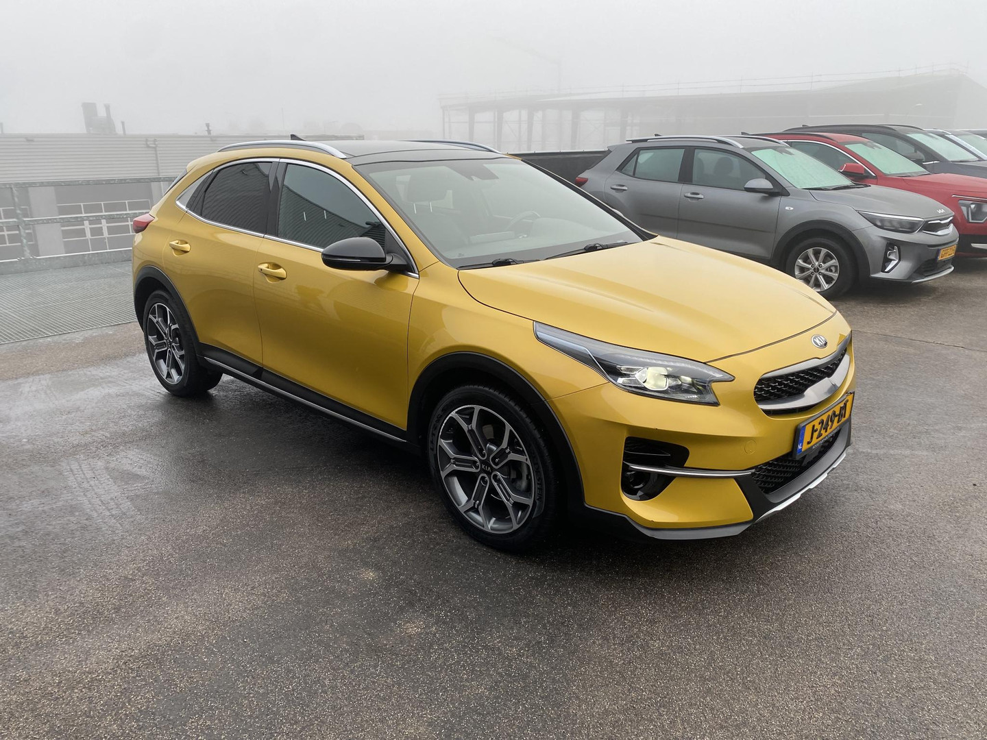 Kia Kia