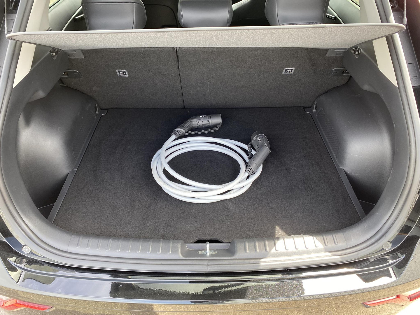 Kia Niro EV