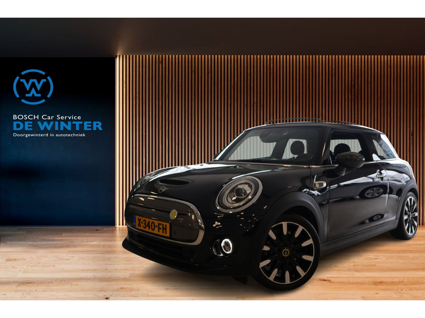 MINI MINI