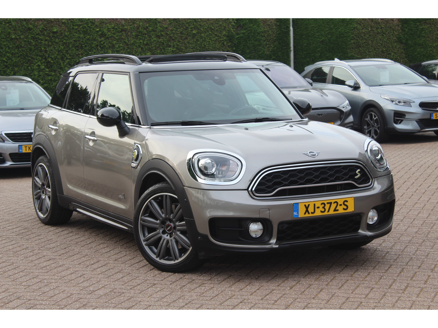 MINI MINI