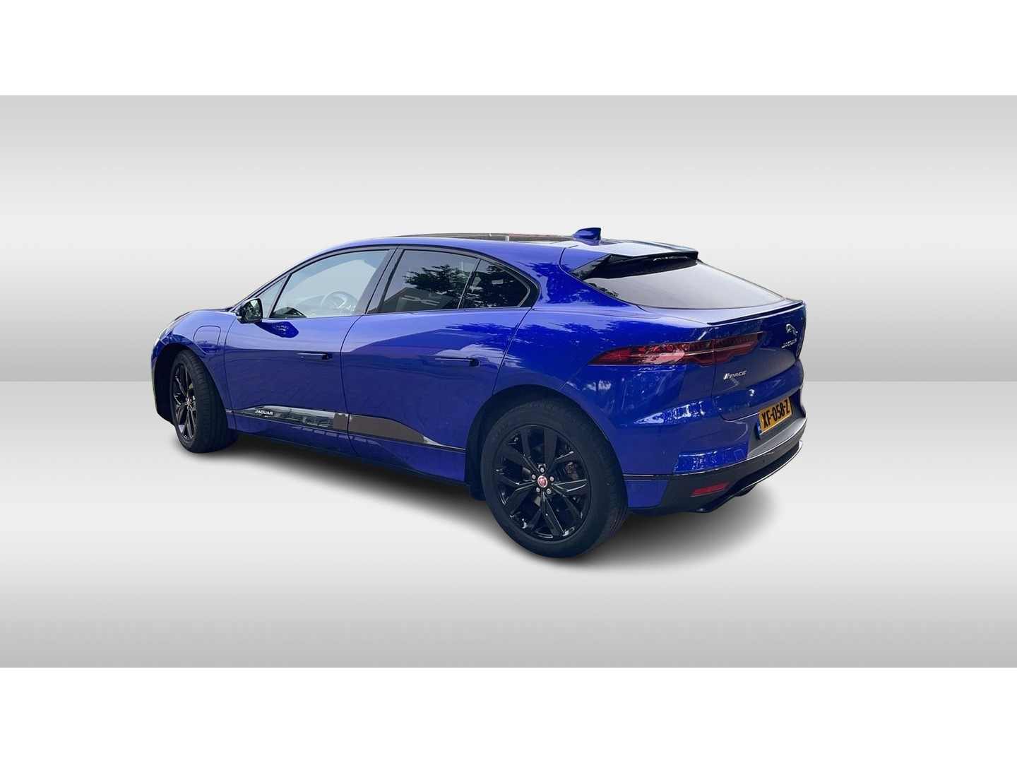 Jaguar Jaguar