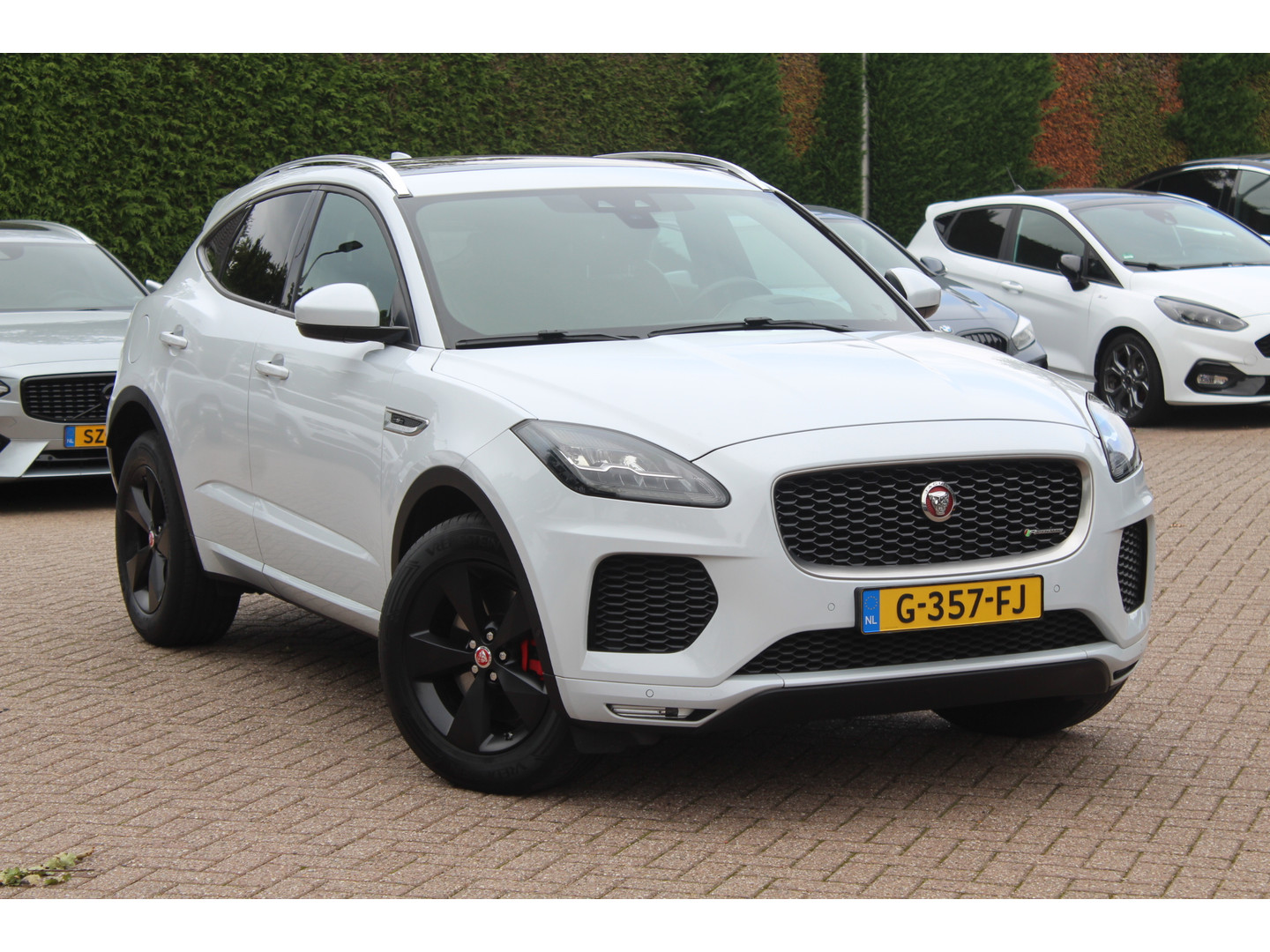 Jaguar Jaguar
