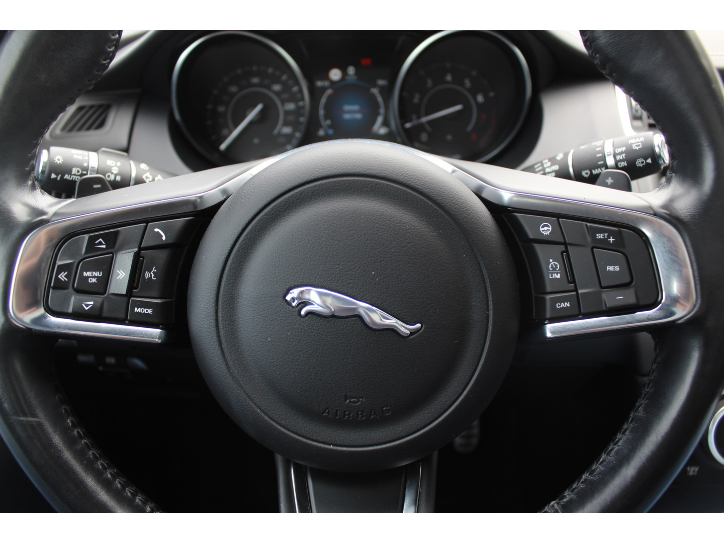 Jaguar Jaguar