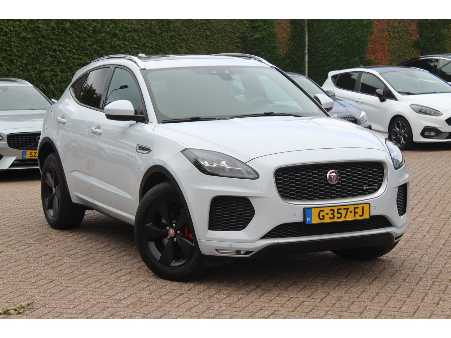 Jaguar Jaguar