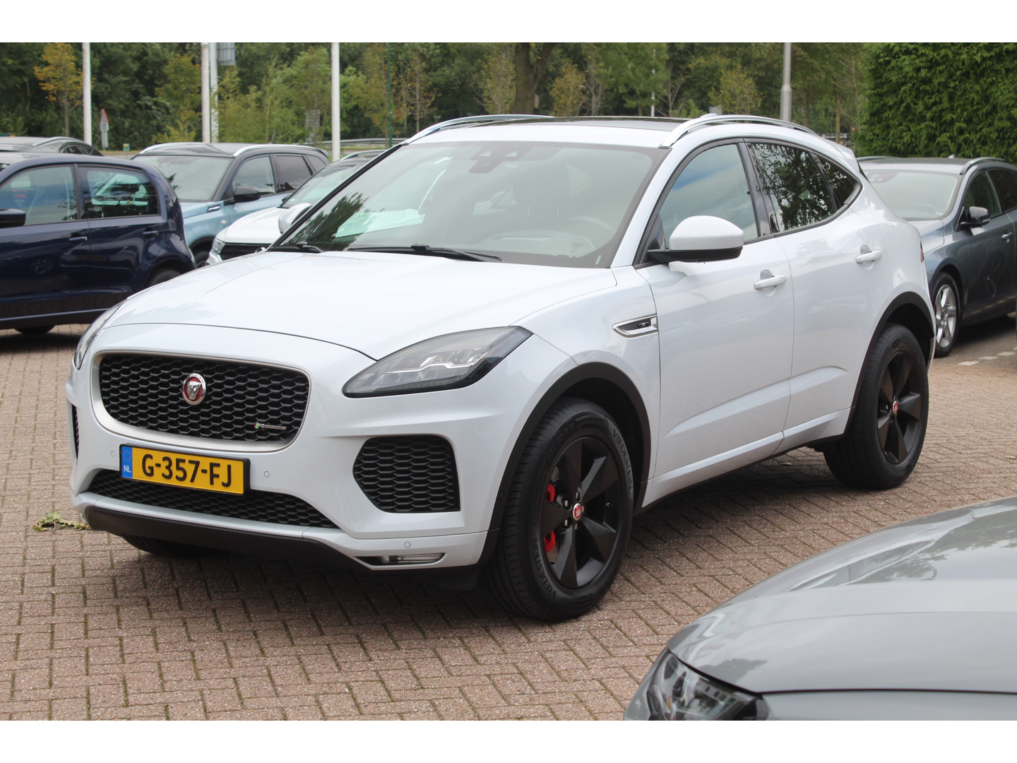 Jaguar Jaguar