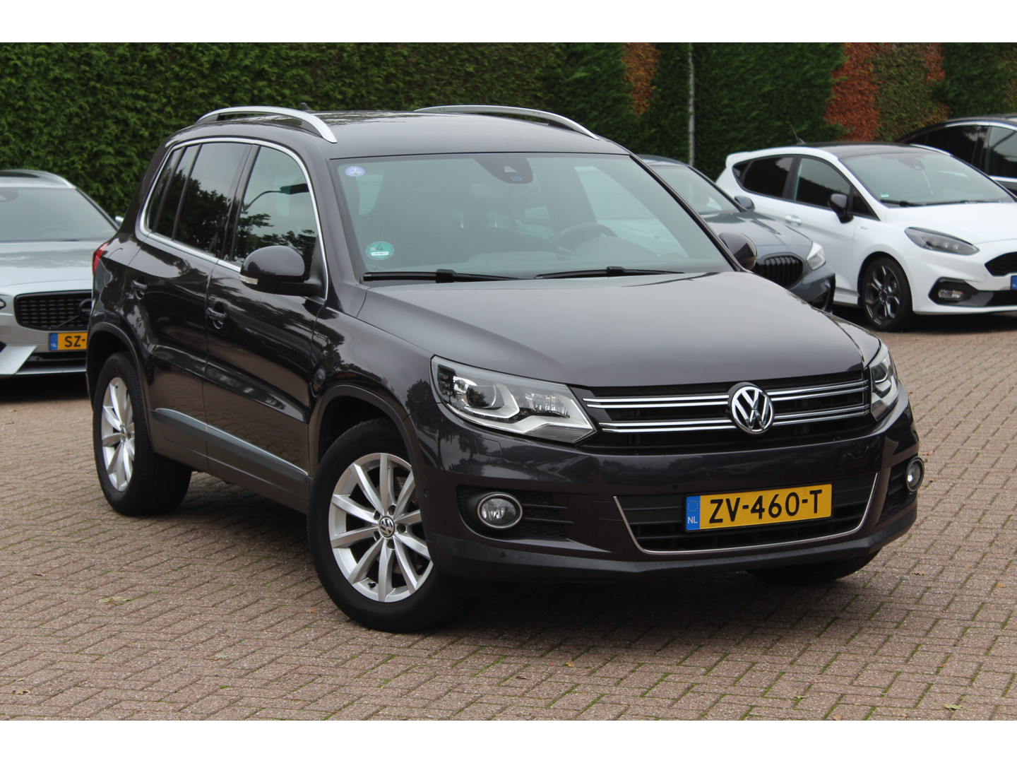 Volkswagen Volkswagen