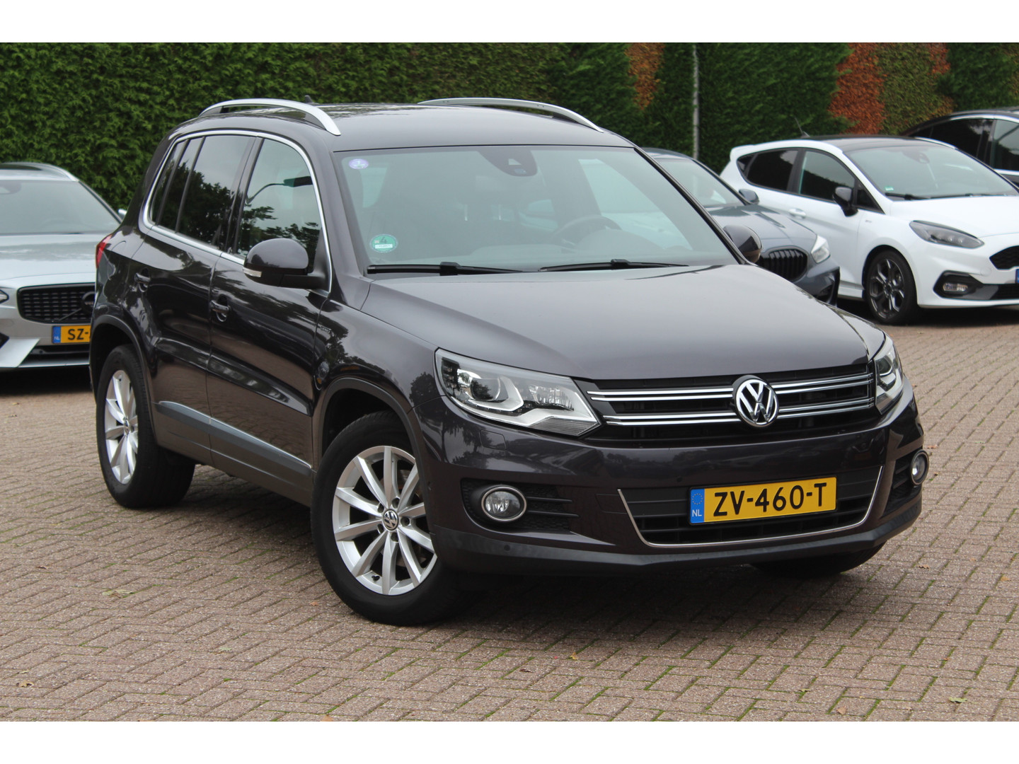 Volkswagen Volkswagen