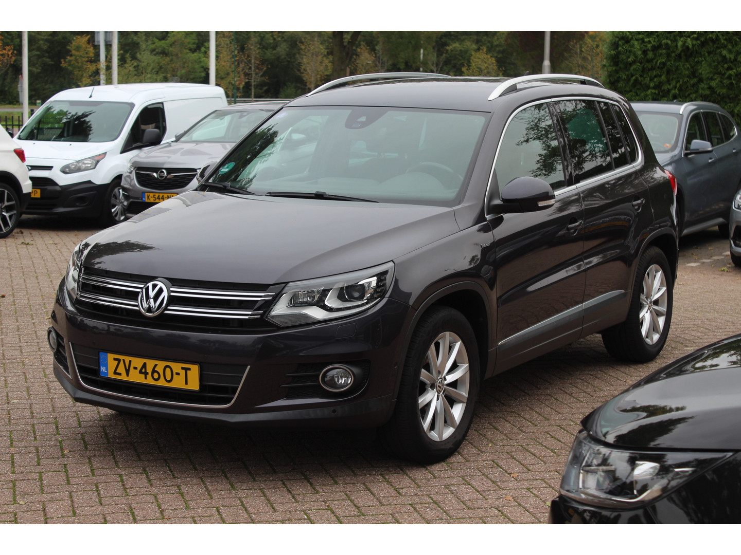 Volkswagen Volkswagen