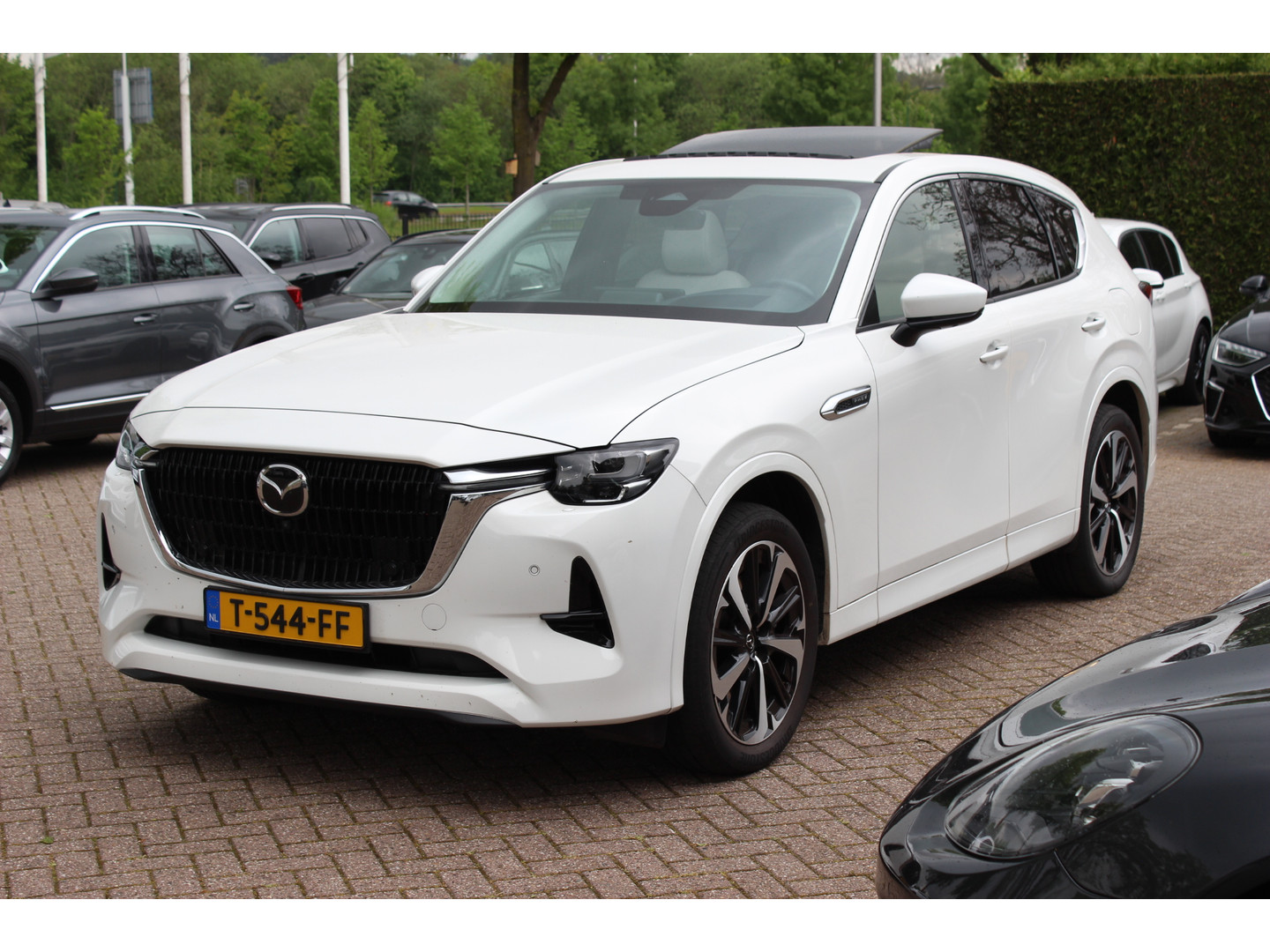 Mazda Mazda