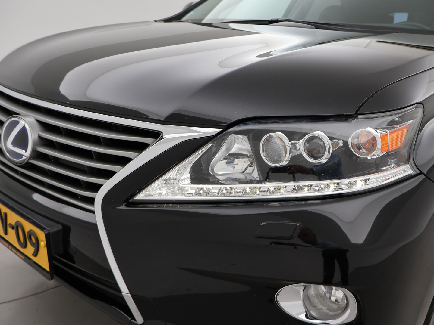 Lexus Lexus