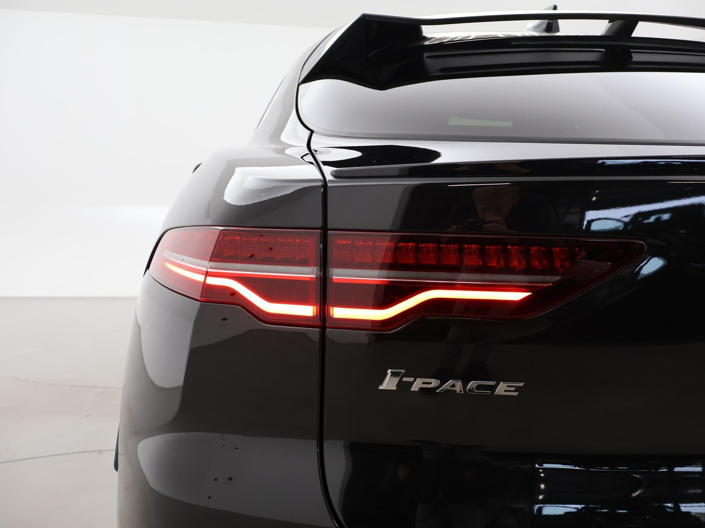 Jaguar Jaguar