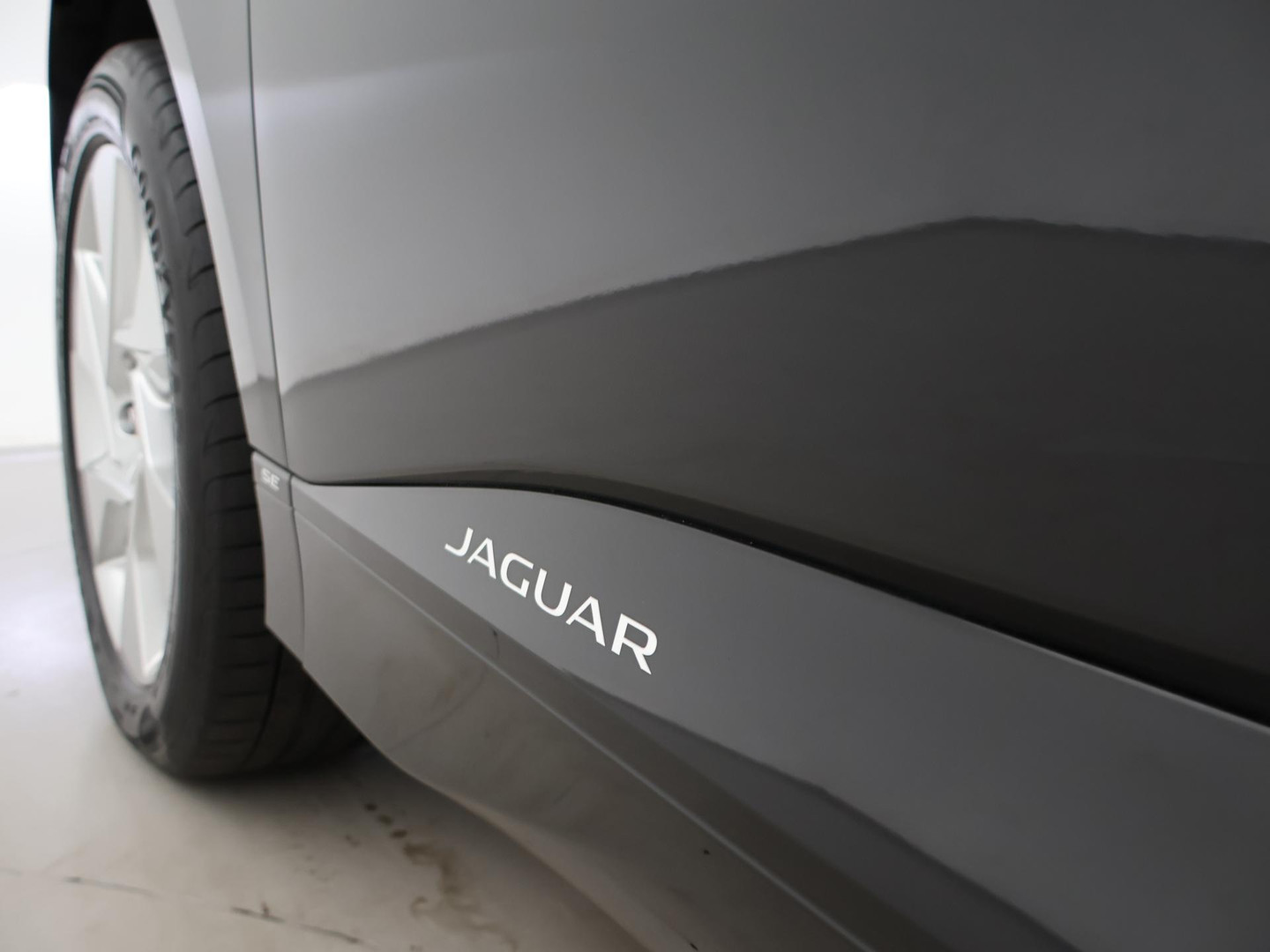 Jaguar Jaguar