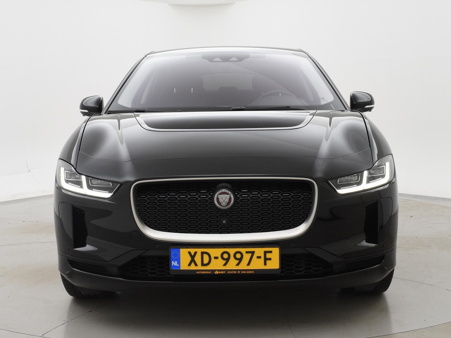Jaguar Jaguar