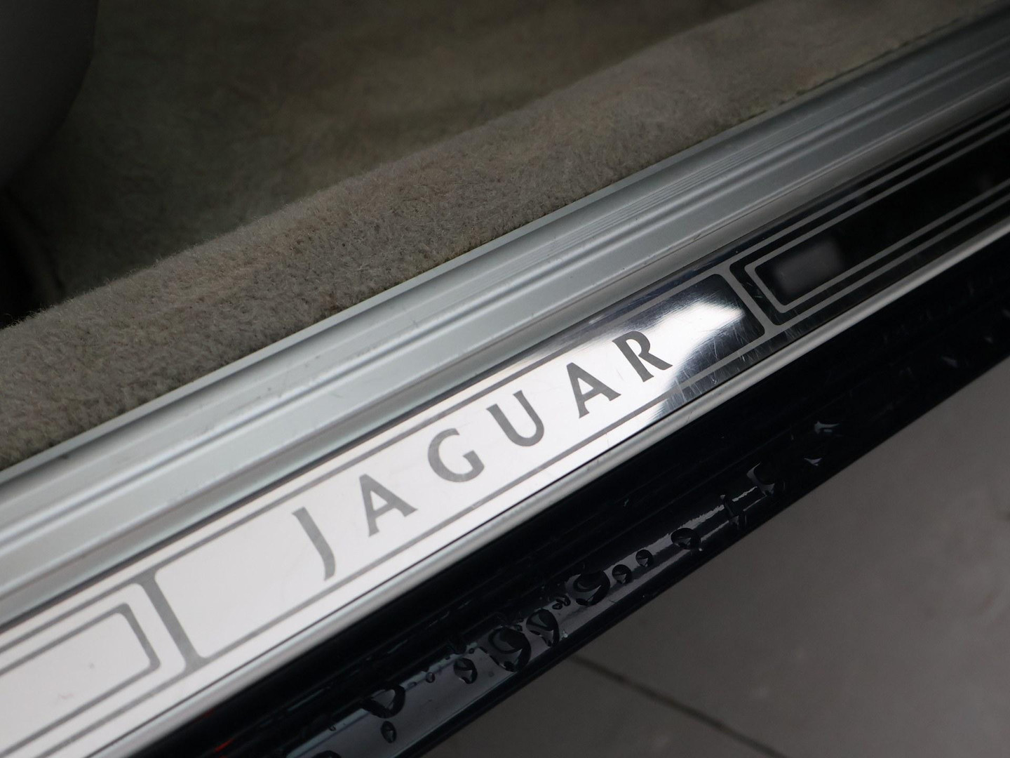 Jaguar Jaguar