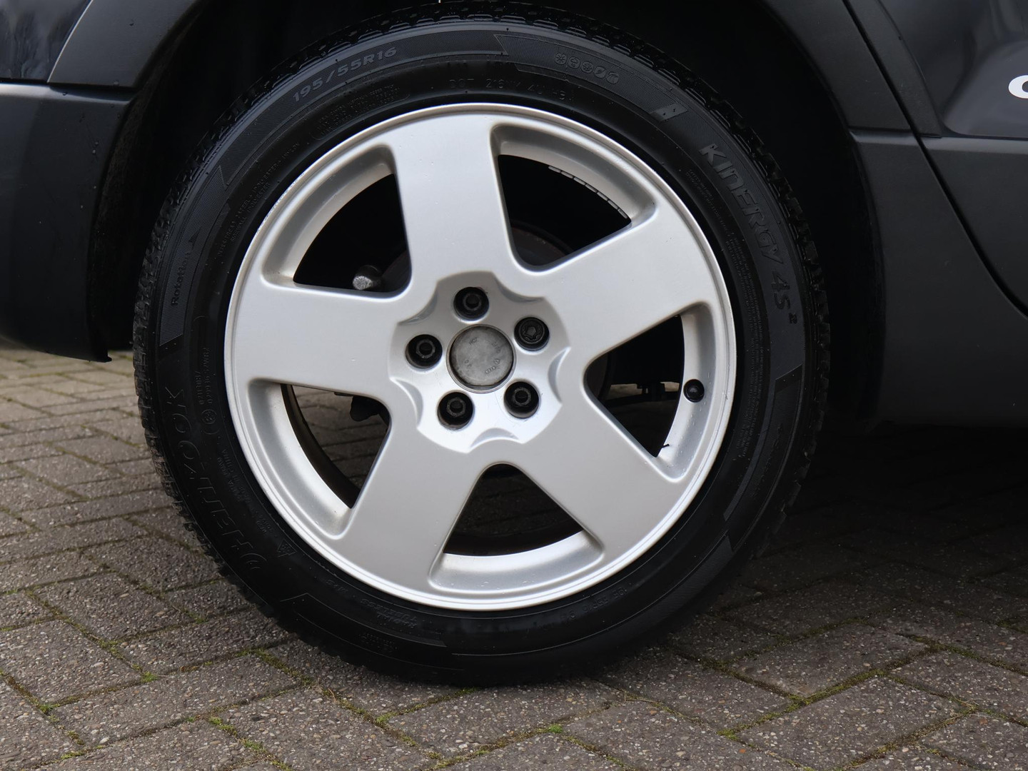 Volkswagen Volkswagen