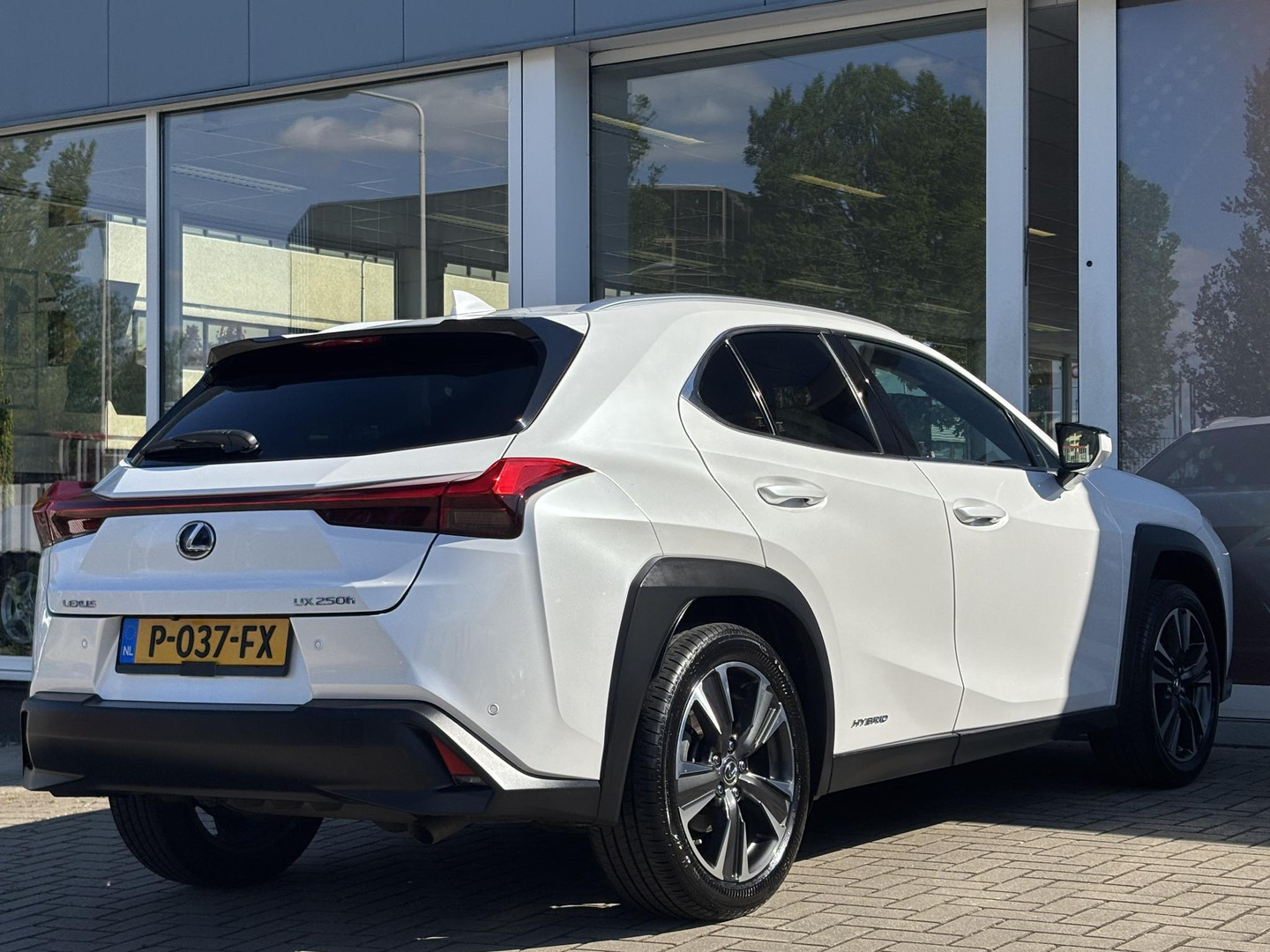 Lexus Lexus