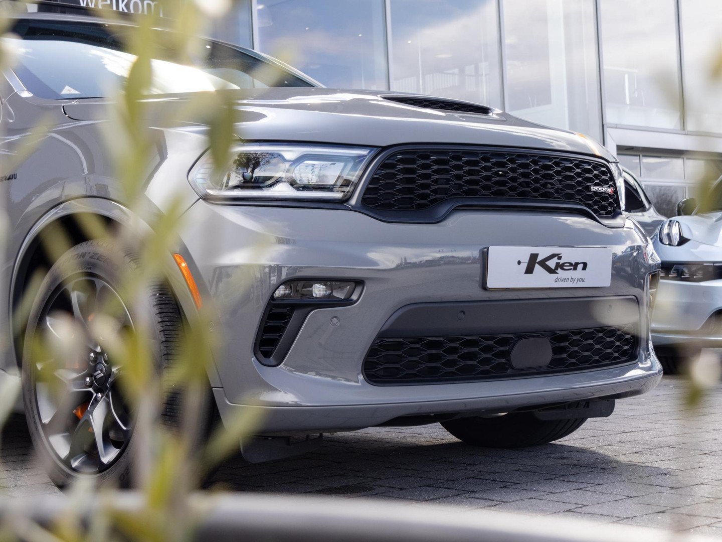 Dodge