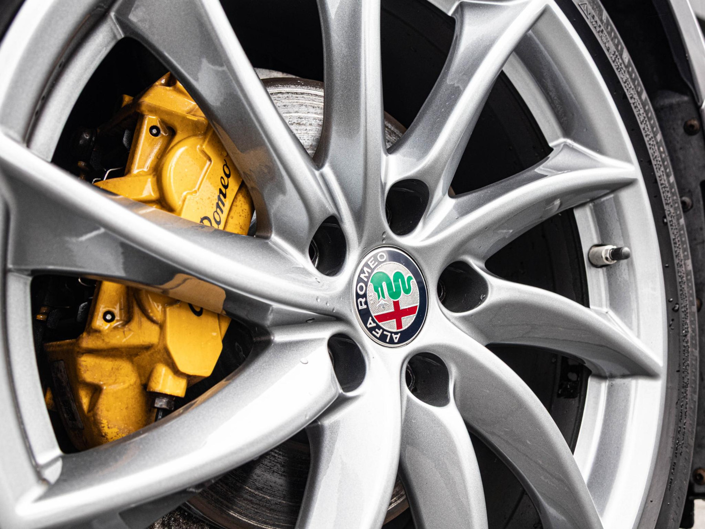 Alfa Romeo