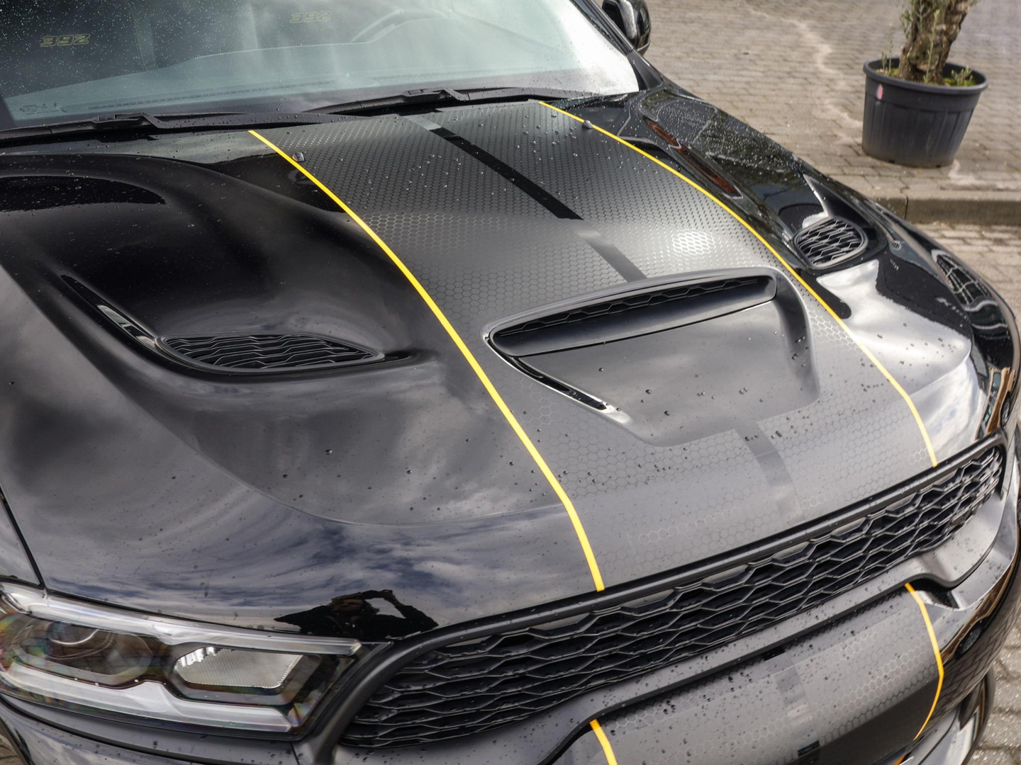Dodge