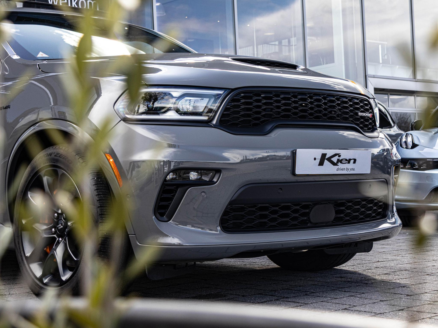 Dodge