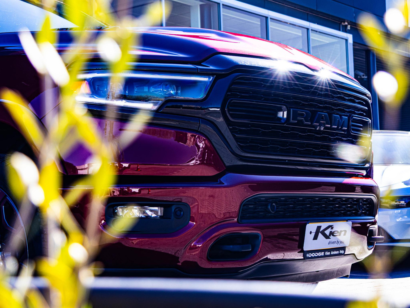 Dodge