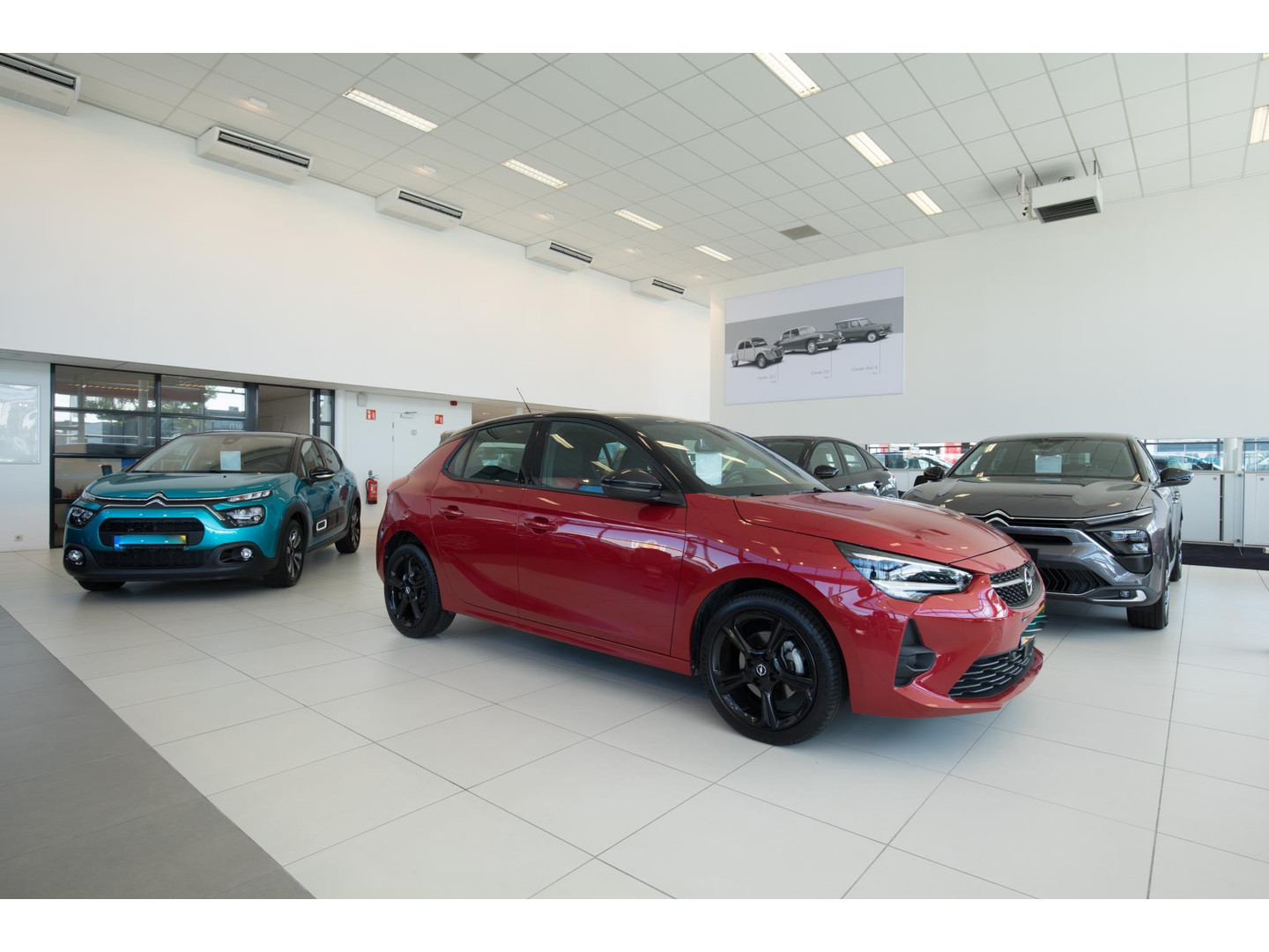 BMW BMW