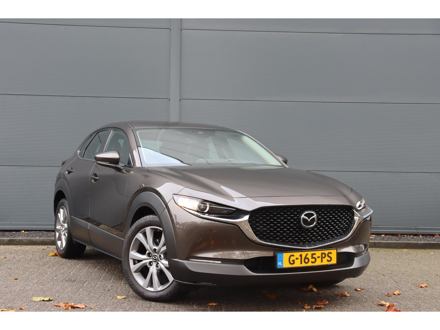 Mazda Mazda