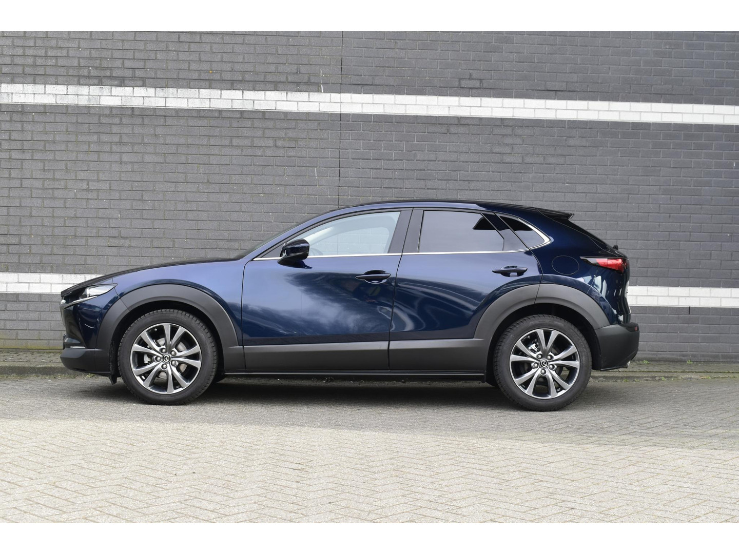 Mazda Mazda