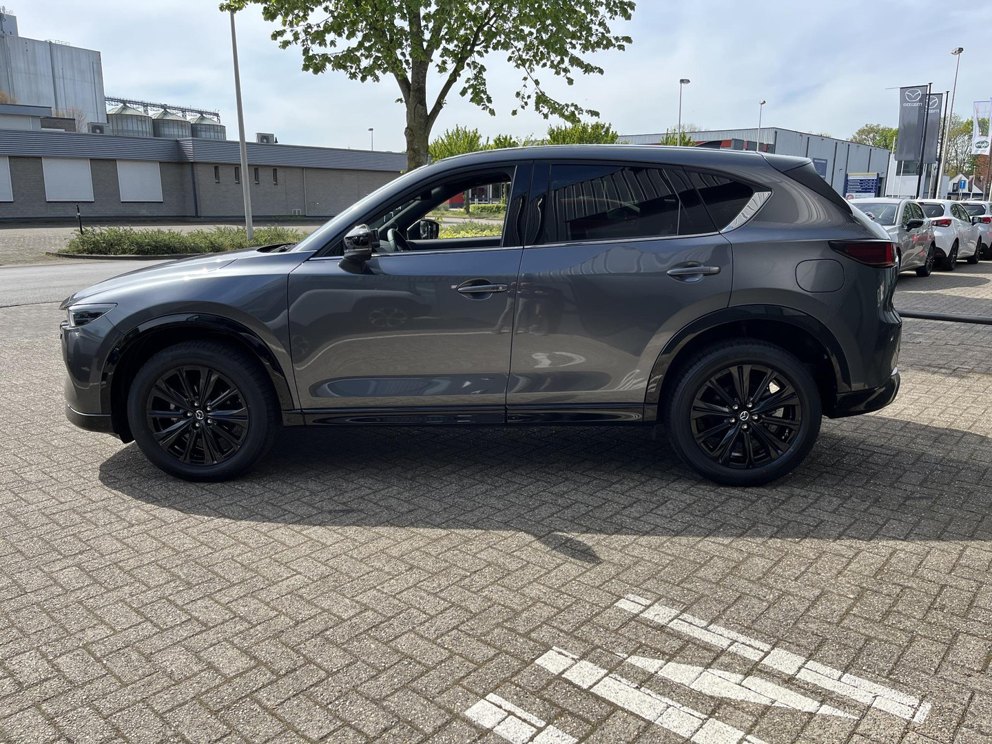 Mazda Mazda