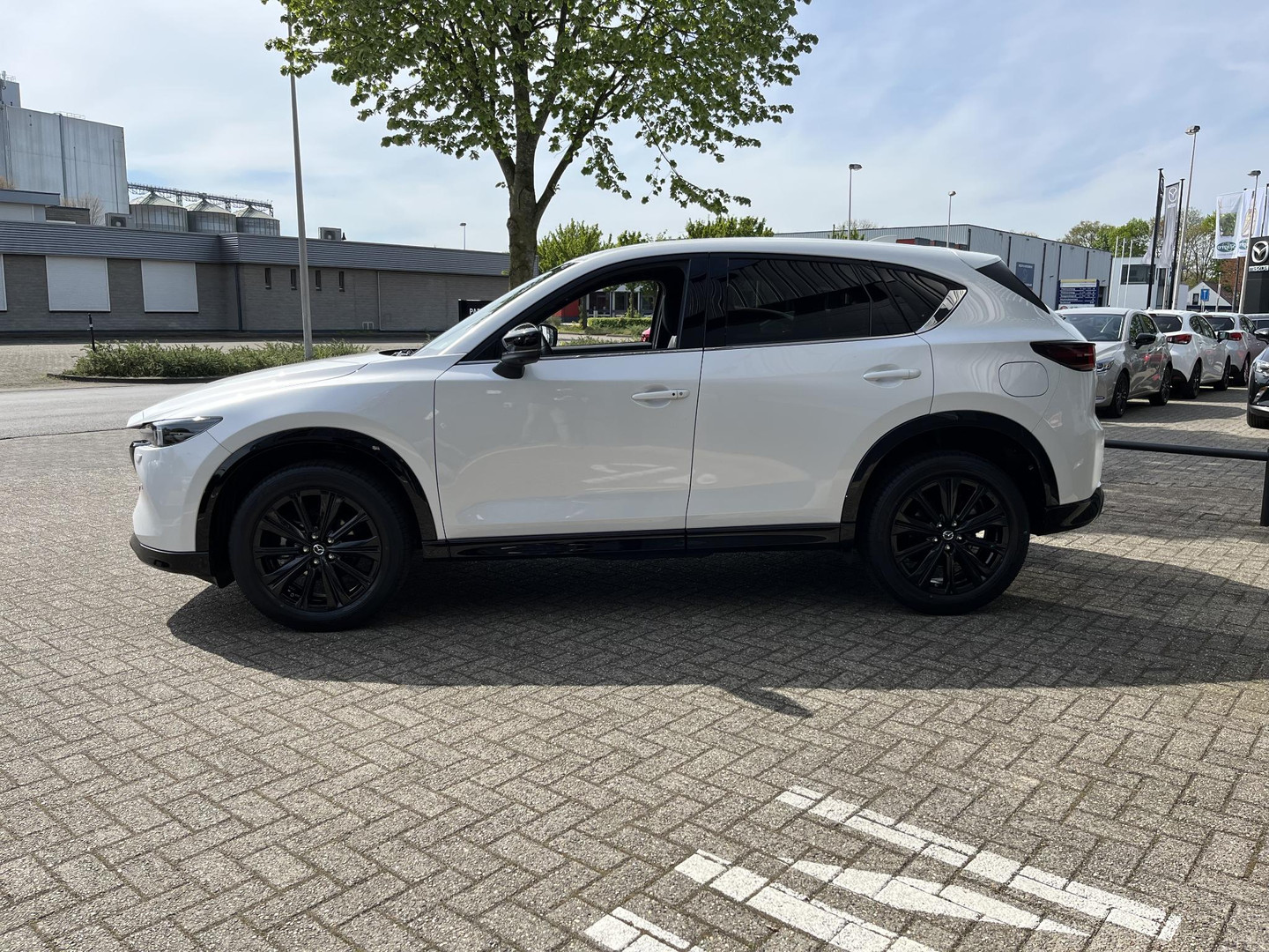 Mazda Mazda