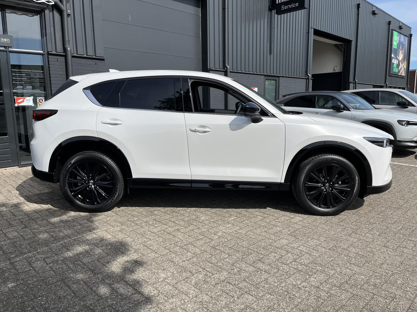 Mazda Mazda