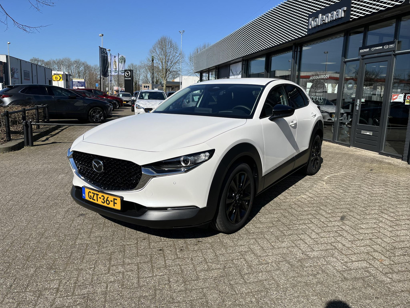 Mazda Mazda