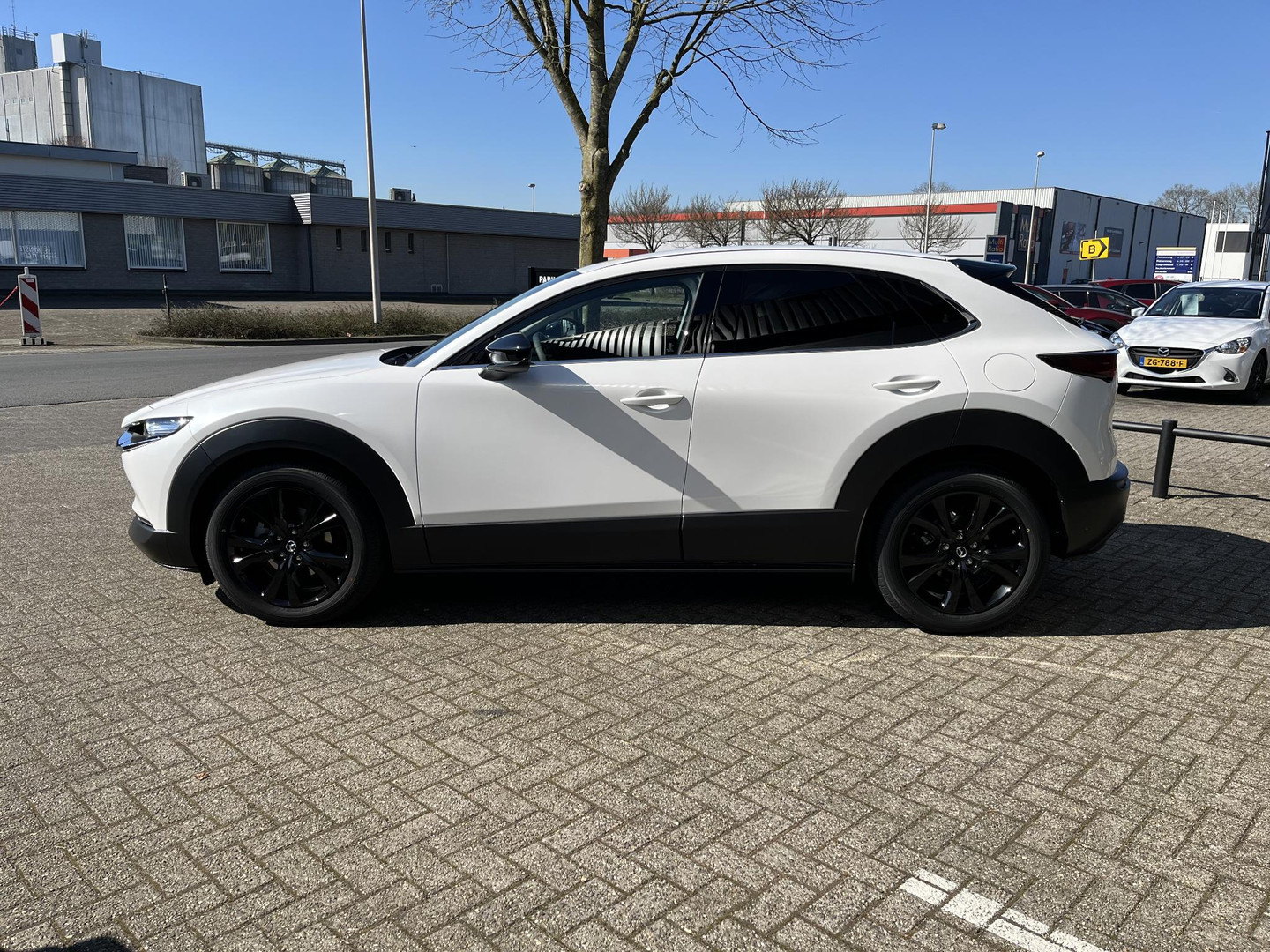 Mazda Mazda
