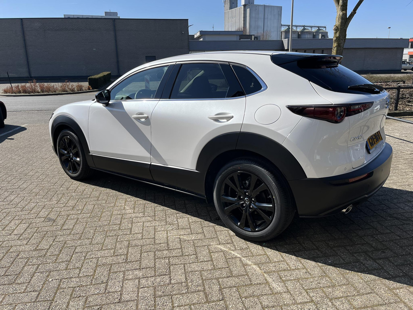 Mazda Mazda