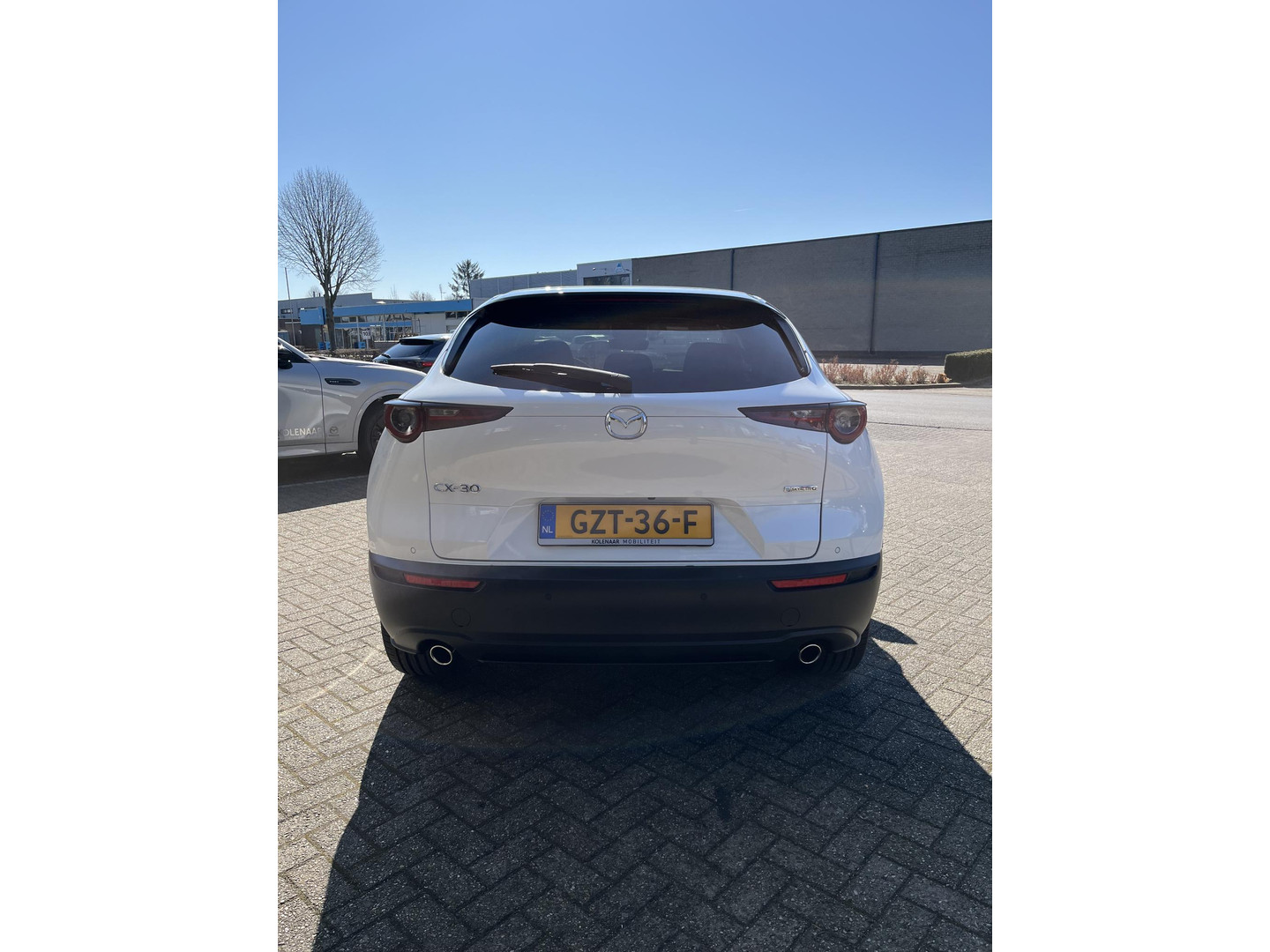 Mazda Mazda