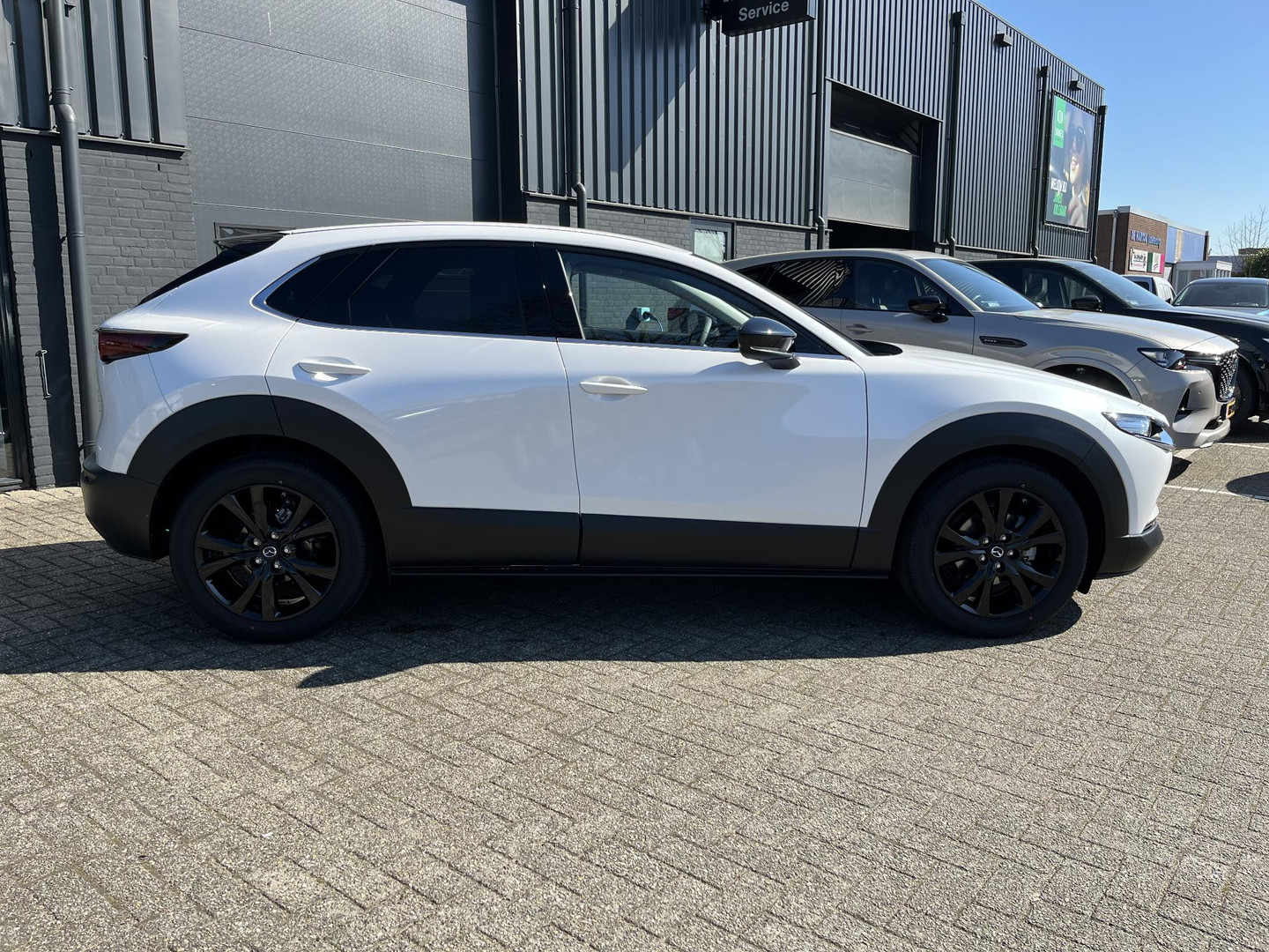 Mazda Mazda