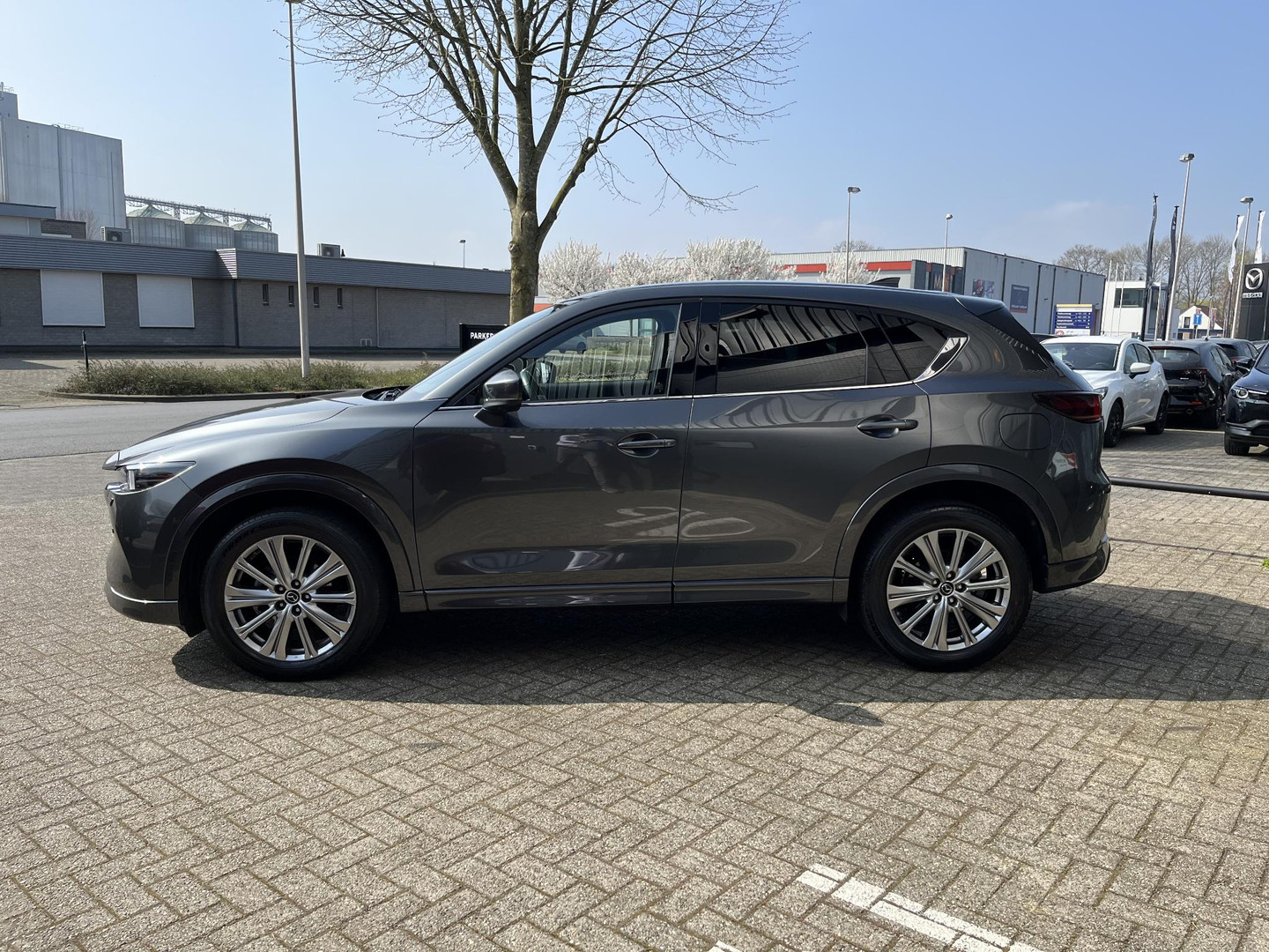 Mazda Mazda