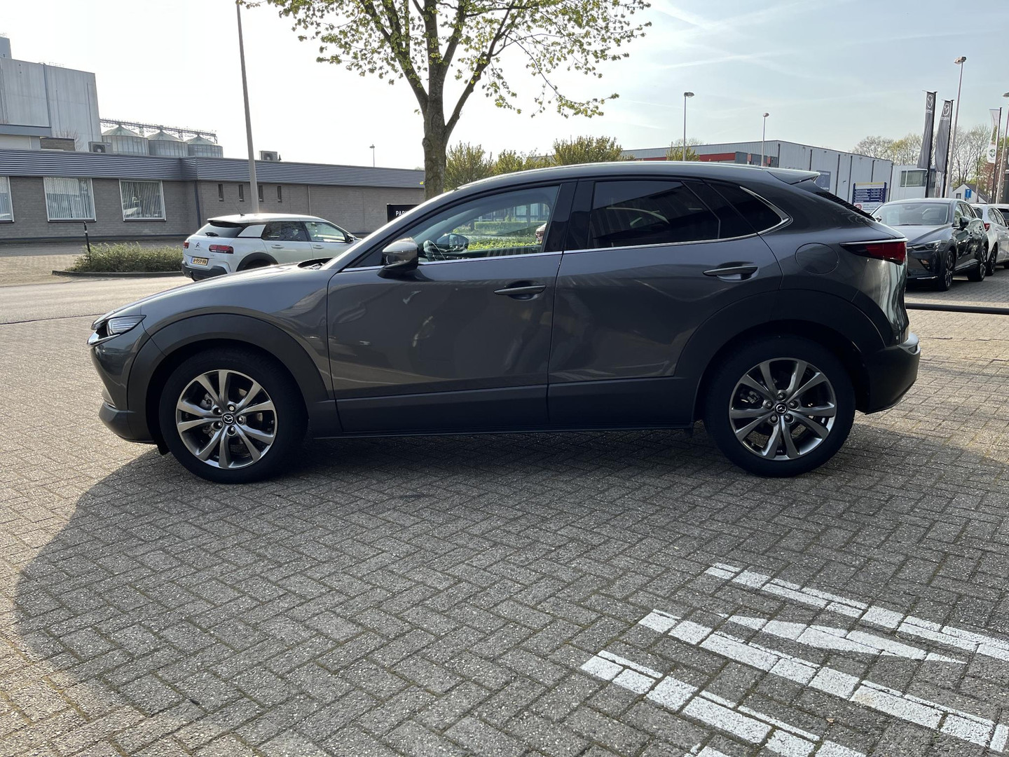 Mazda