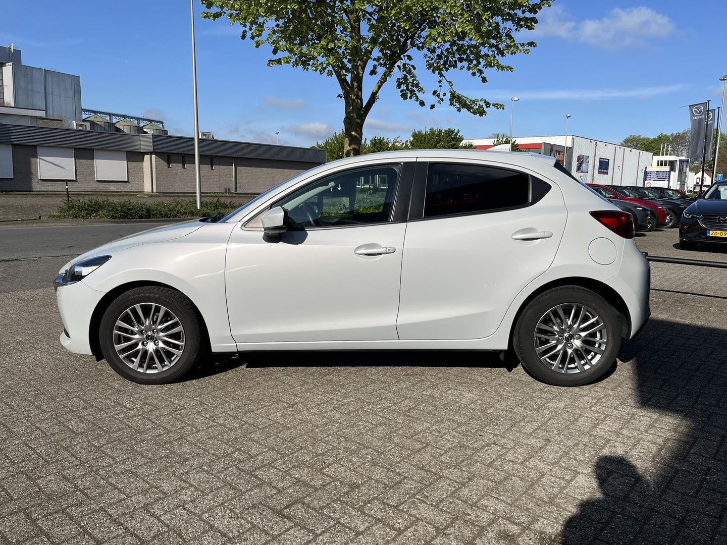 Mazda Mazda