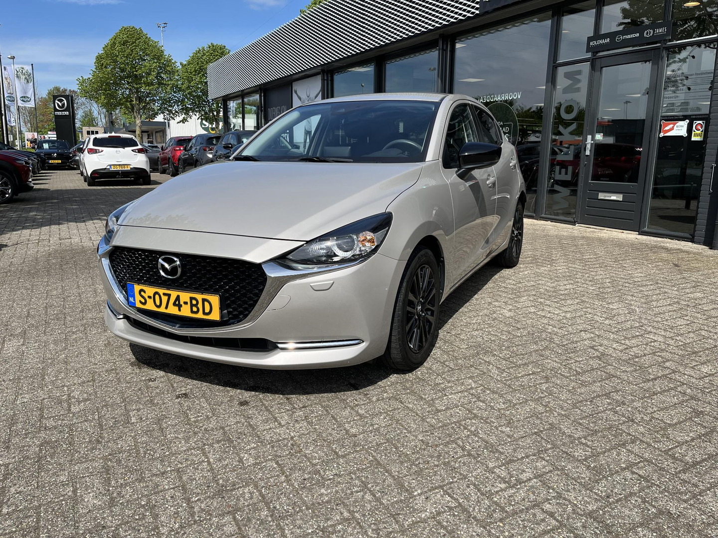 Mazda Mazda