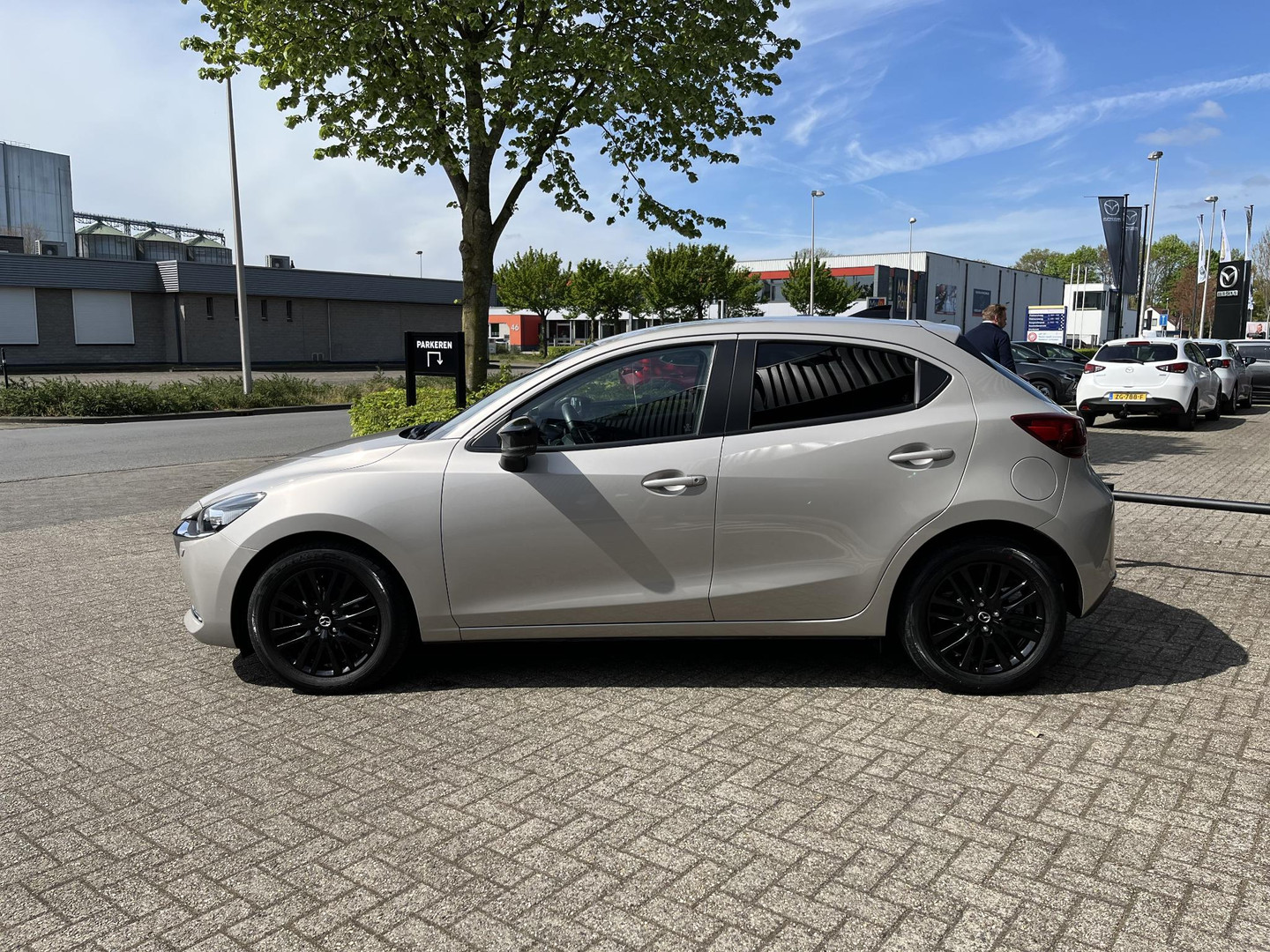 Mazda Mazda