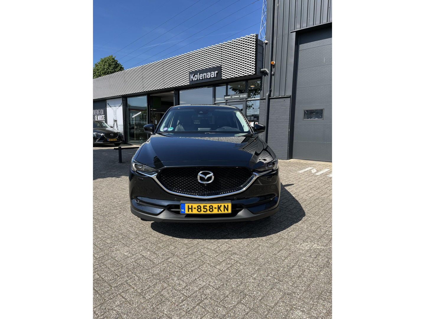 Mazda Mazda