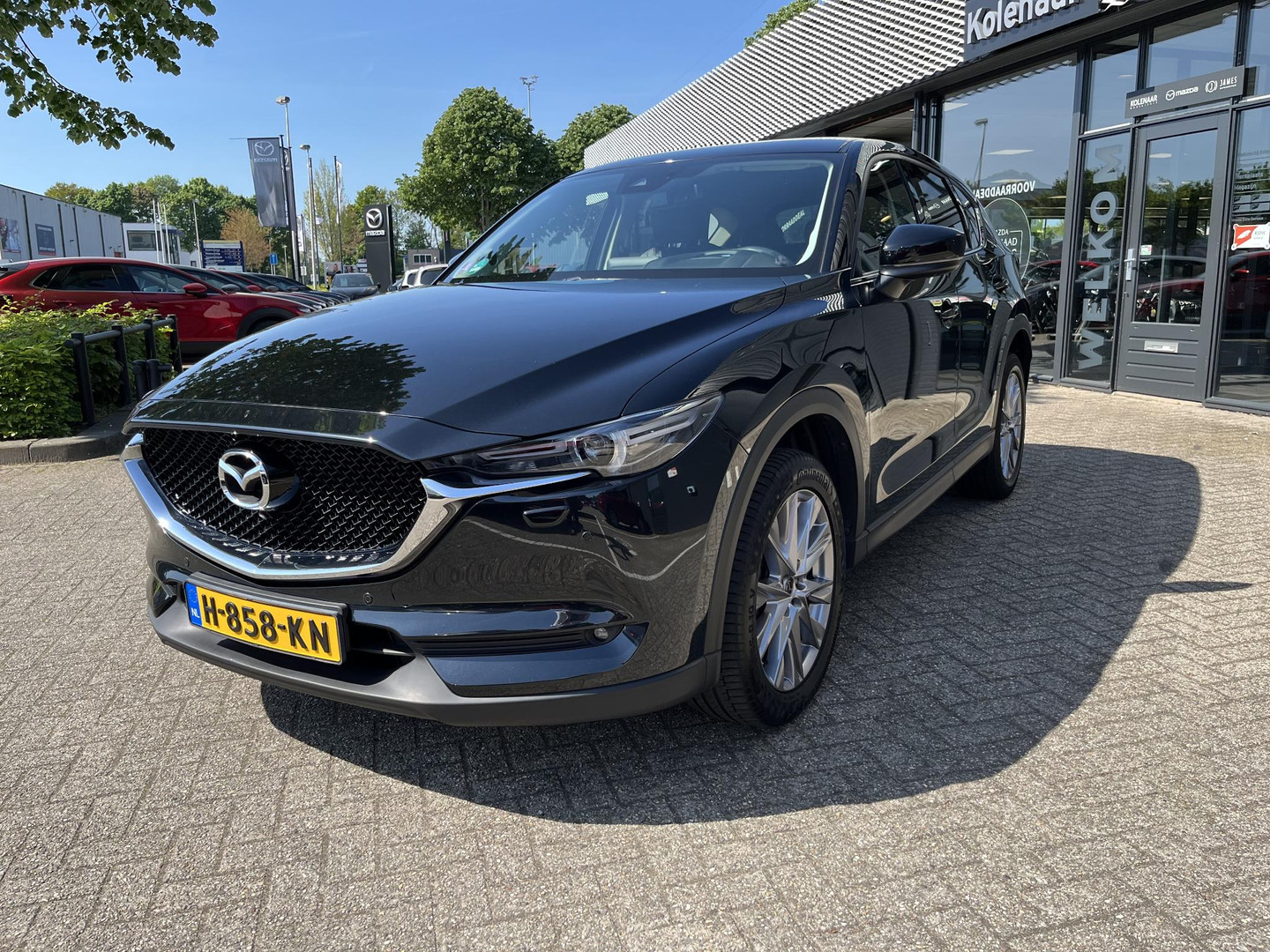 Mazda Mazda