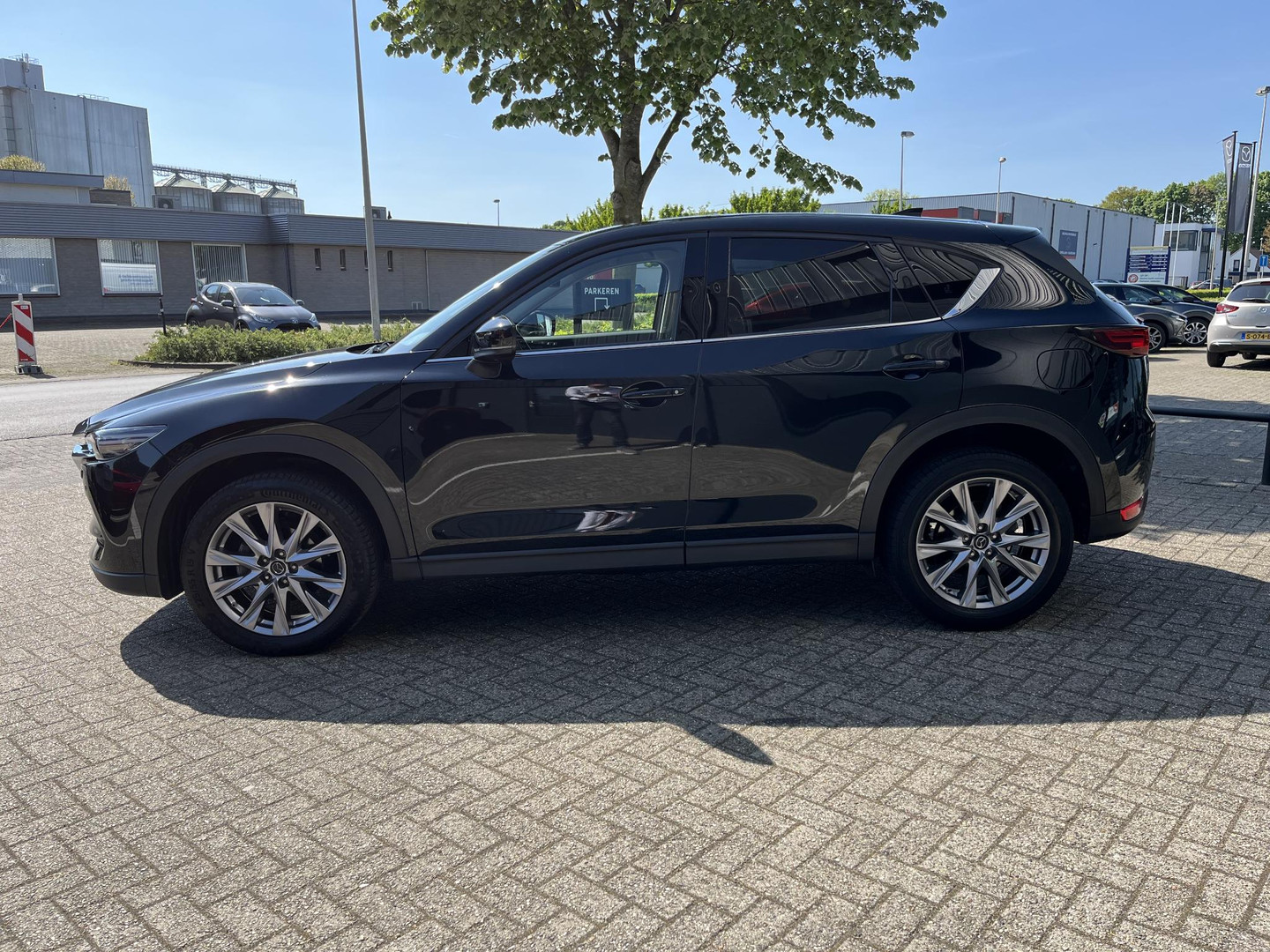 Mazda Mazda